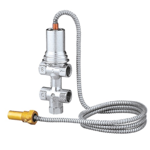 (image for) Temperature relief valve Caleffi 544
